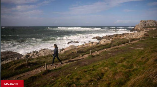 Hivers doux en Bretagne