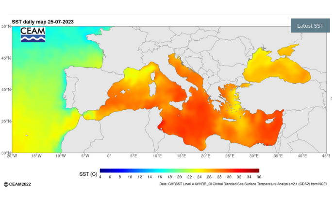 Mediterranean SST