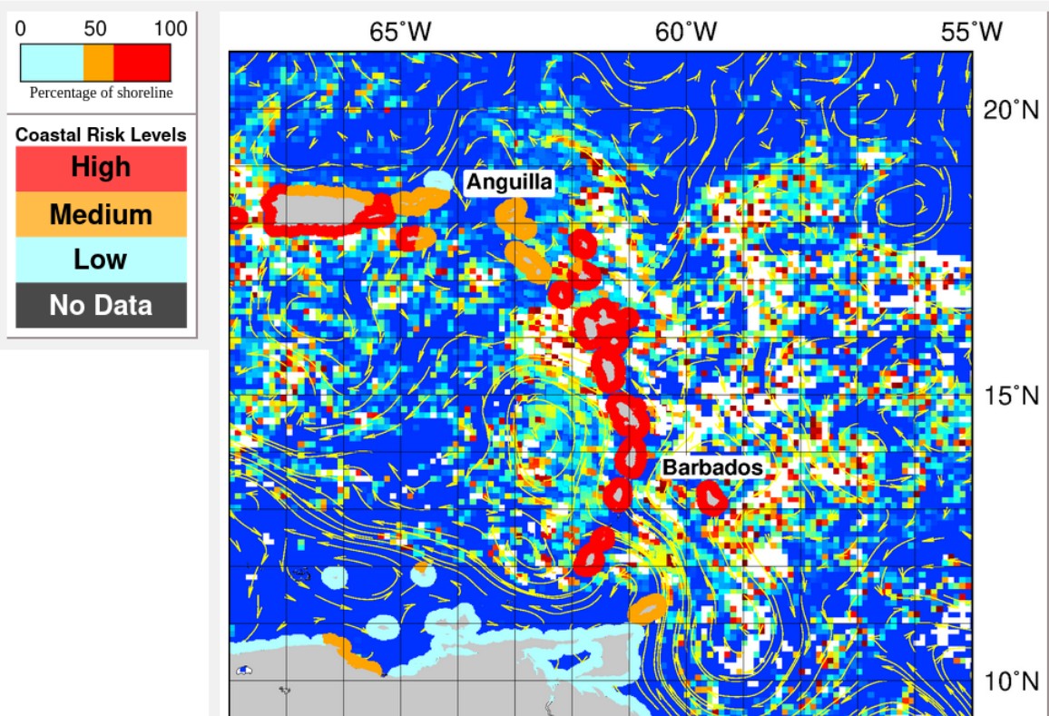 Sargasses NOAA